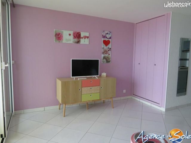 Canet plage, bel appartement taversant,front de mer (image 13)