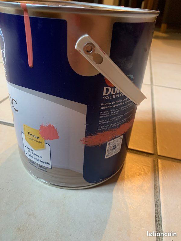 Peinture couleur brique 2,5L (image 2)