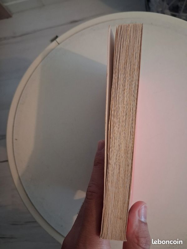 Livre Cours pratique d’origami Trucs et Astuces (image 3)