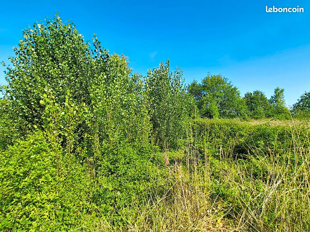 Terrain 305 m² · à Monclar-de-Quercy · 305 m² · 37 000 €