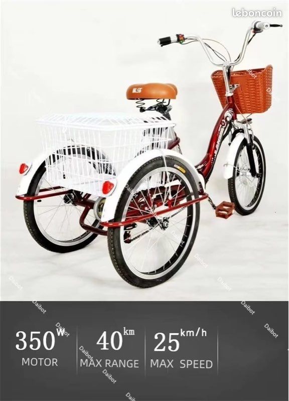 Tricycle électrique (image 3)