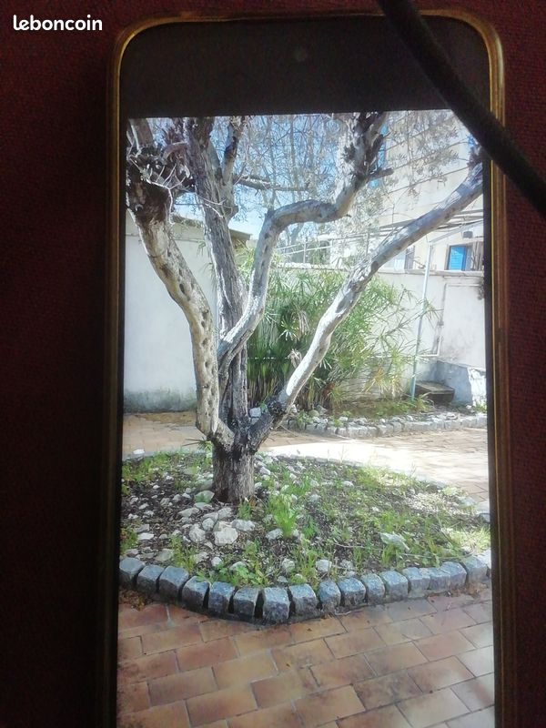 Maison 3 pièces 50 m² · à Arles · 50 m² · 165 000 €