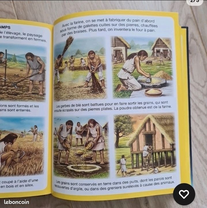 Livre Illustré L'imagerie dinosaures et préhistoire Fleurus (image 2)