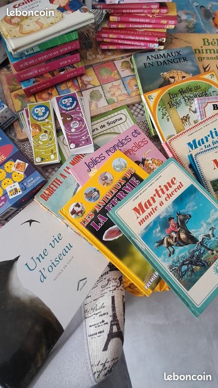 Gros lot de jouets, puzzles, livres, Lego, Barbie, micro karaoké, palmes, bottes de neige, jeux Meccano, valise éléphant : tout doit partir (image 4)