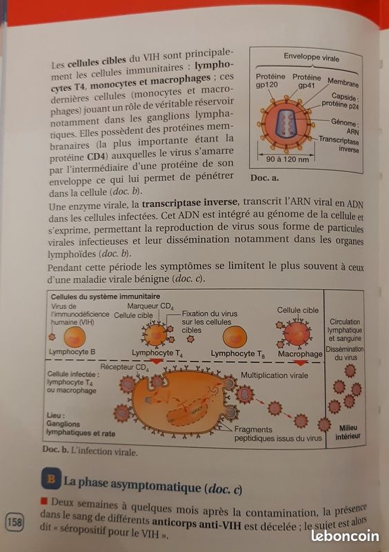 Terminale S – SVT / Sciences et Vie de la Terre - PREPABAC - LH94 (image 4)