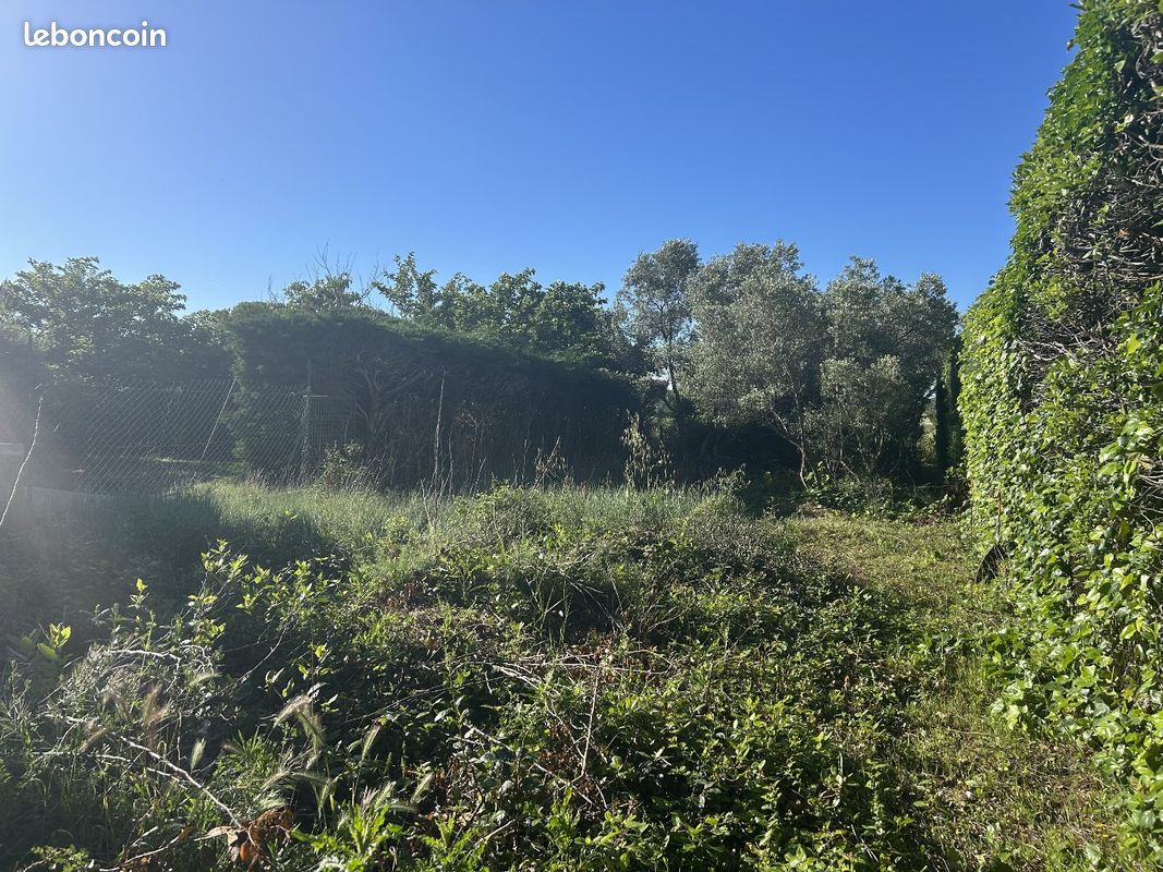 Terrain 319 m² CALVISSON · 110 000 €