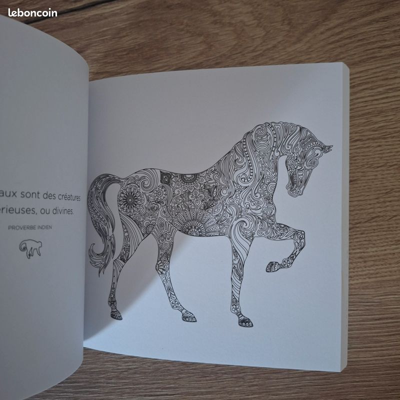 Livre de coloriage (image 5)