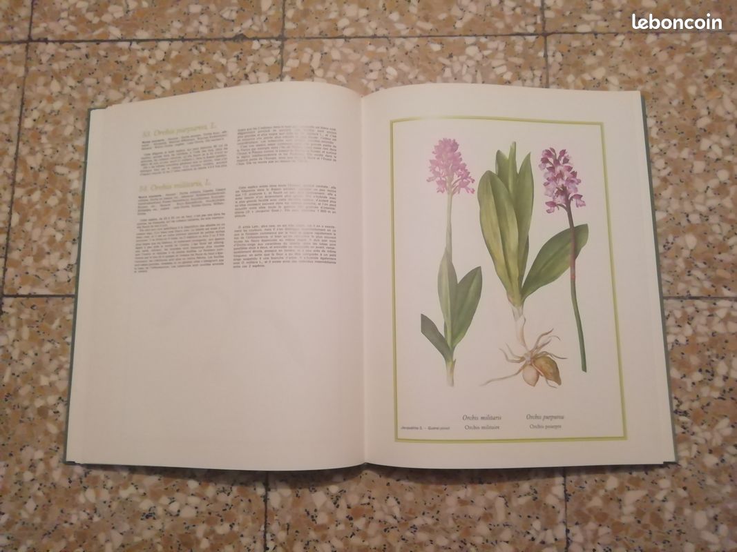 Livres Fleurs Sauvages de France et des Régions Limitrophes (image 6)