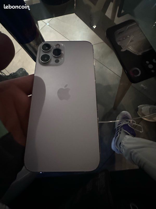 12 pro max (image 1)