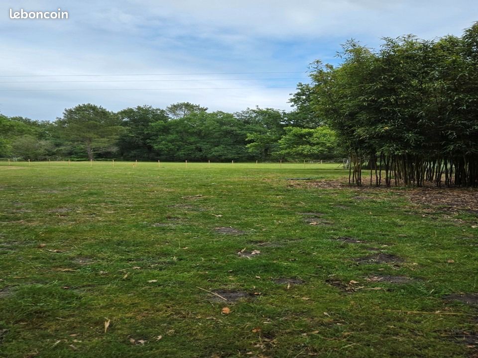 Terrain 770 m² Saint Mariens · à Saint-Mariens · 69 600 €
