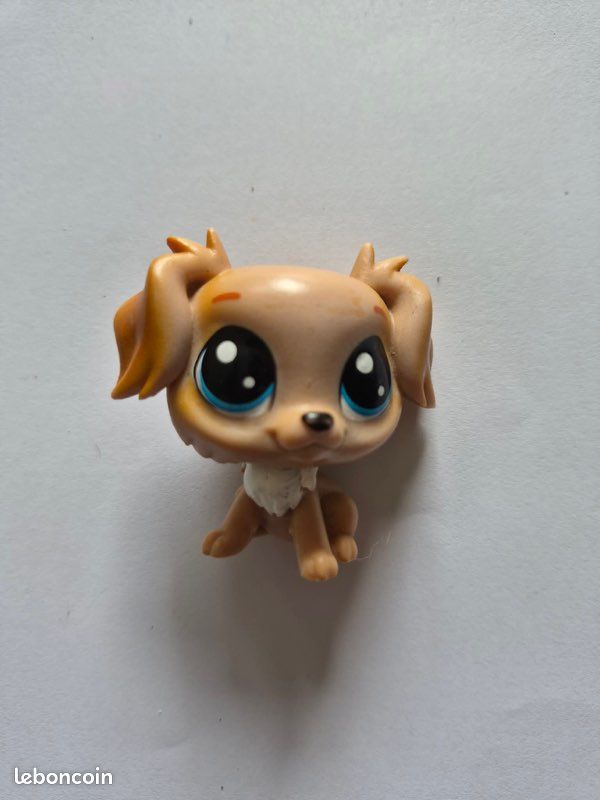 Lot 16 pet shop (image 5)