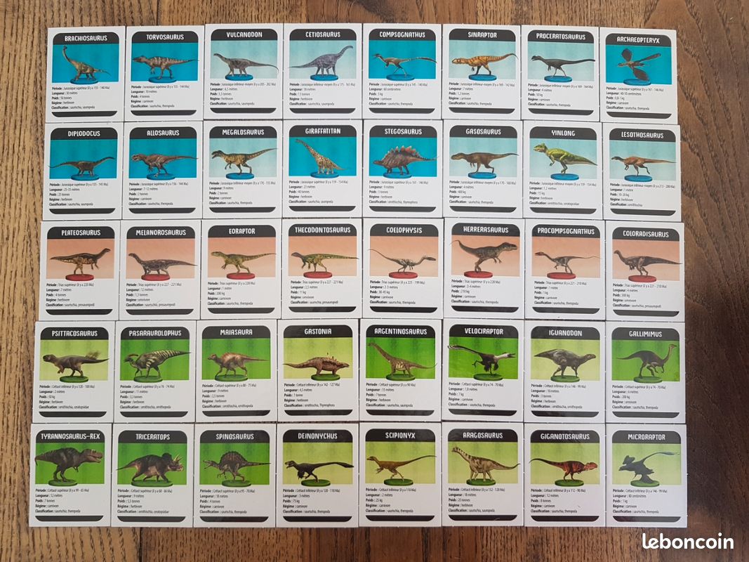 Jeu Dinosaures aux rayons X (image 3)