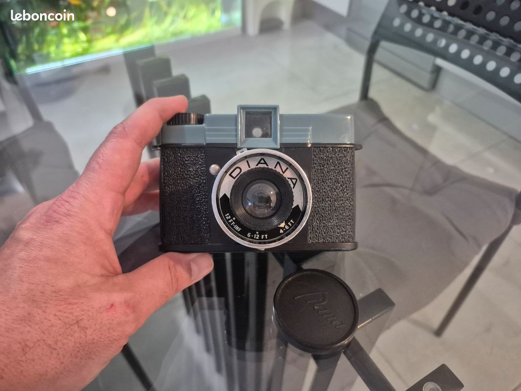 Diana type 151 lomography (image 1)