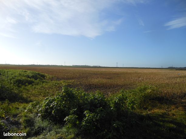 Terrain 1218 m² Quarouble