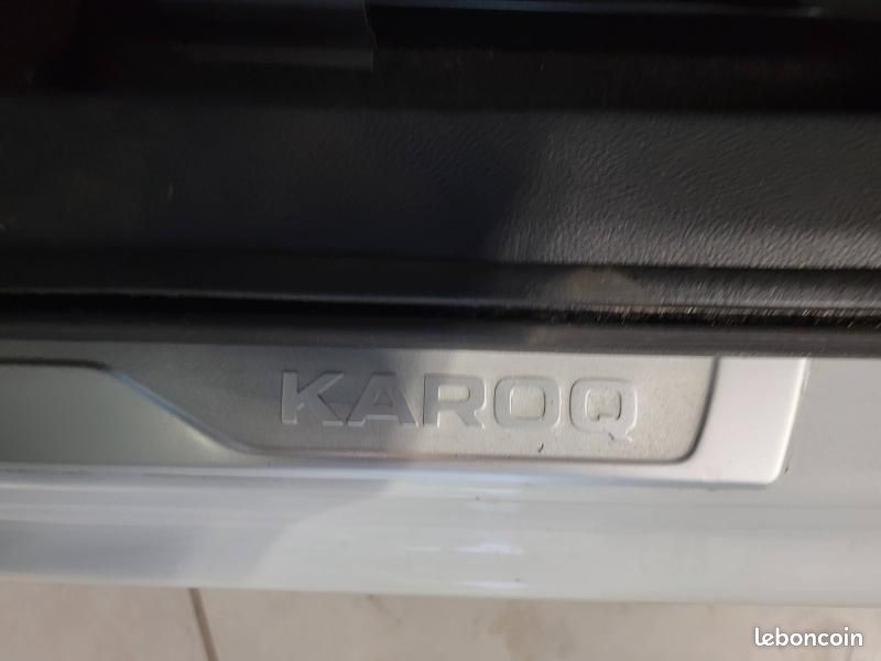 Skoda Karoq 2.0 TDI 116ch SCR Ambition (image 22)