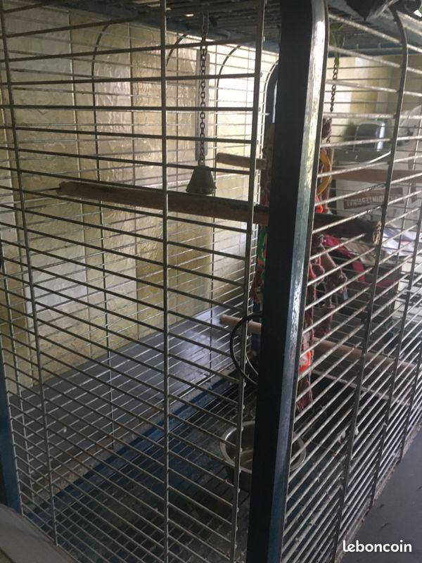 Cage perroquet (image 1)