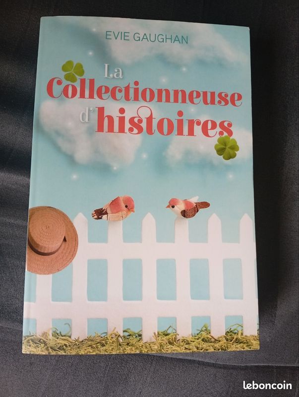 Livre la collectionneuse d'histoires d'Evie Gaughan (image 1)