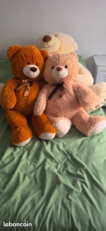 Ours en peluche (image 2)