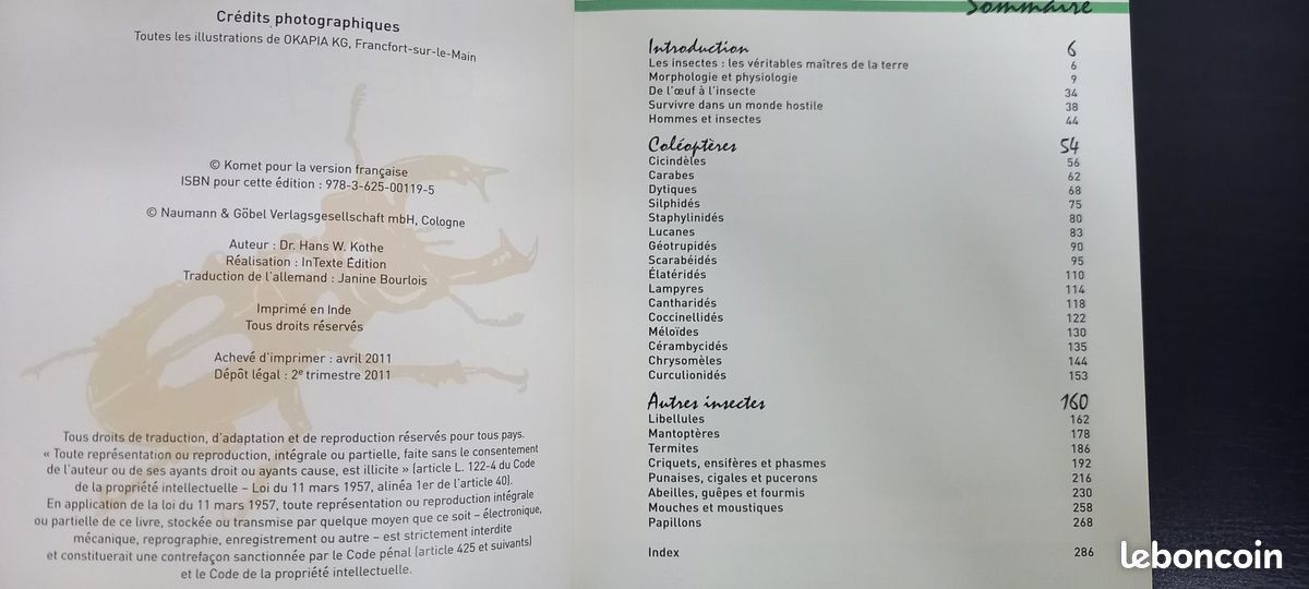 Insectes et coléoptères (image 2)