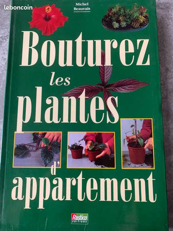 Bouturez les plantes d’appartement (image 1)
