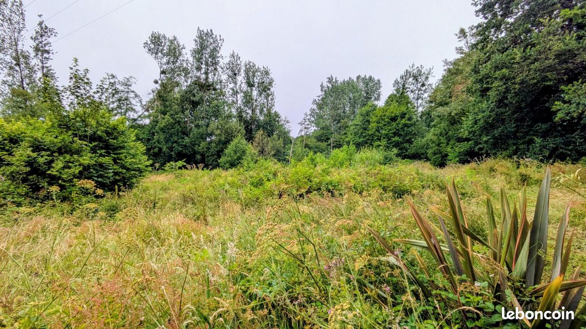 5760 m² Sottevast (image 1)