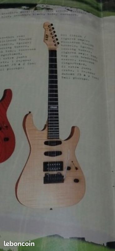 ESP custom The Mirage (image 10)