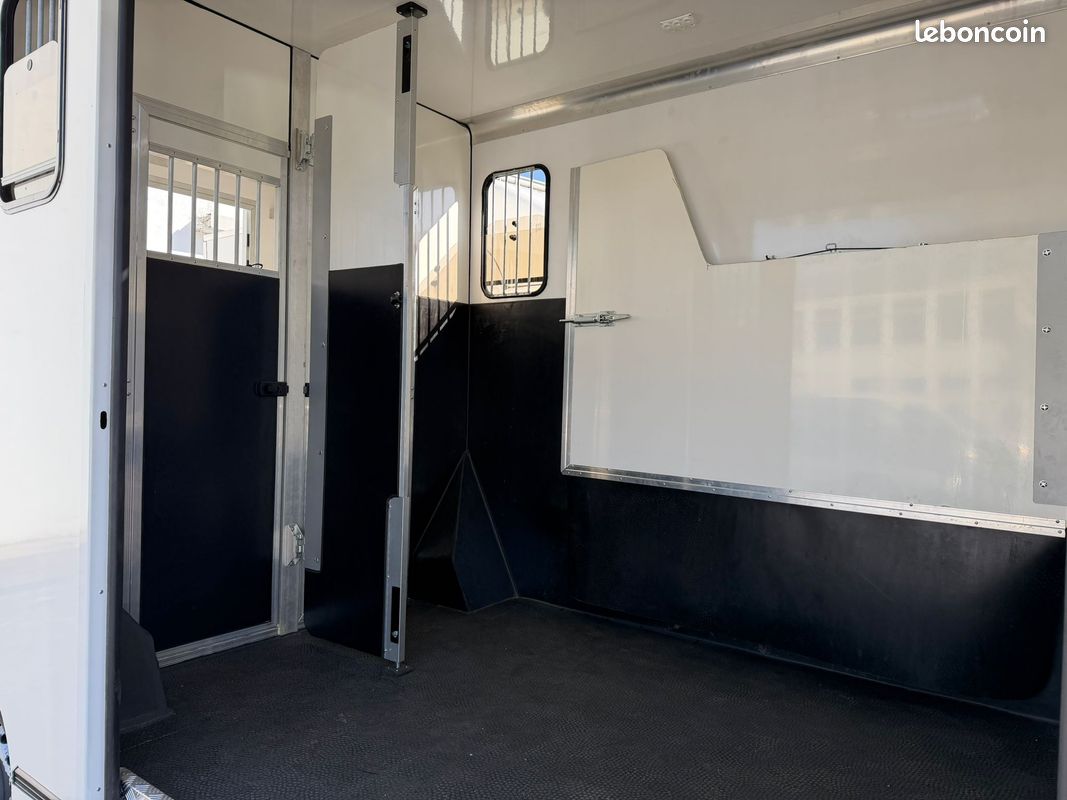 Camion 2 chevaux ACR - Renault Master - stalle - 2020 - 79 000km (image 4)