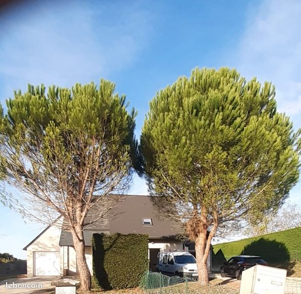 Maison 3 pièces 60 m² · à Amboise · 60 m² · 800 €/mois