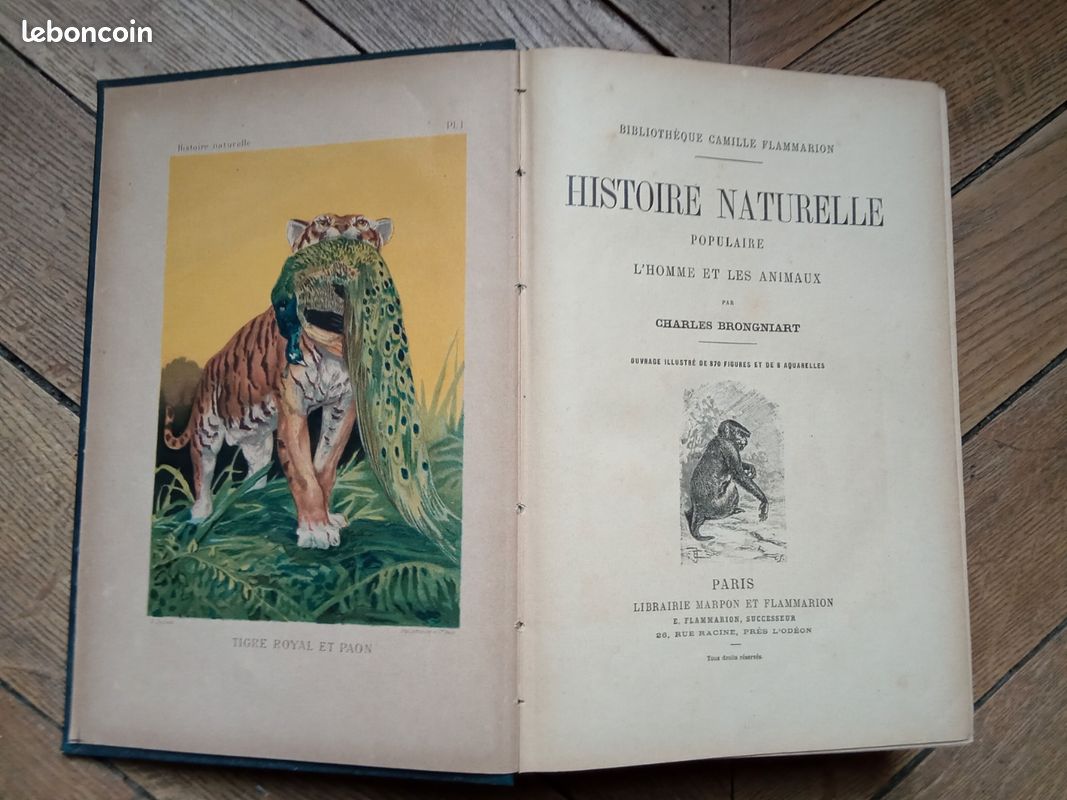 Livre ancien (image 1)