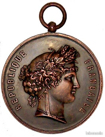 Médaille Grand Concours De Musique à Choisy-le-Roi 1879 République Française - Pièce De Collection (MED163)