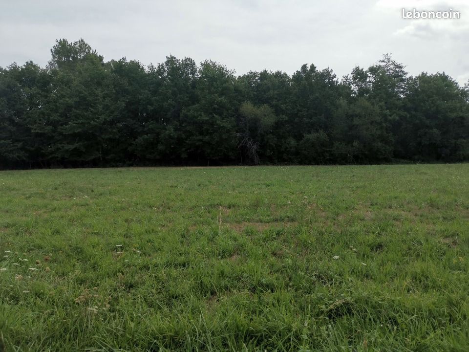 Terrain 1000 m² · à Terrasson-Lavilledieu · 19 700 €