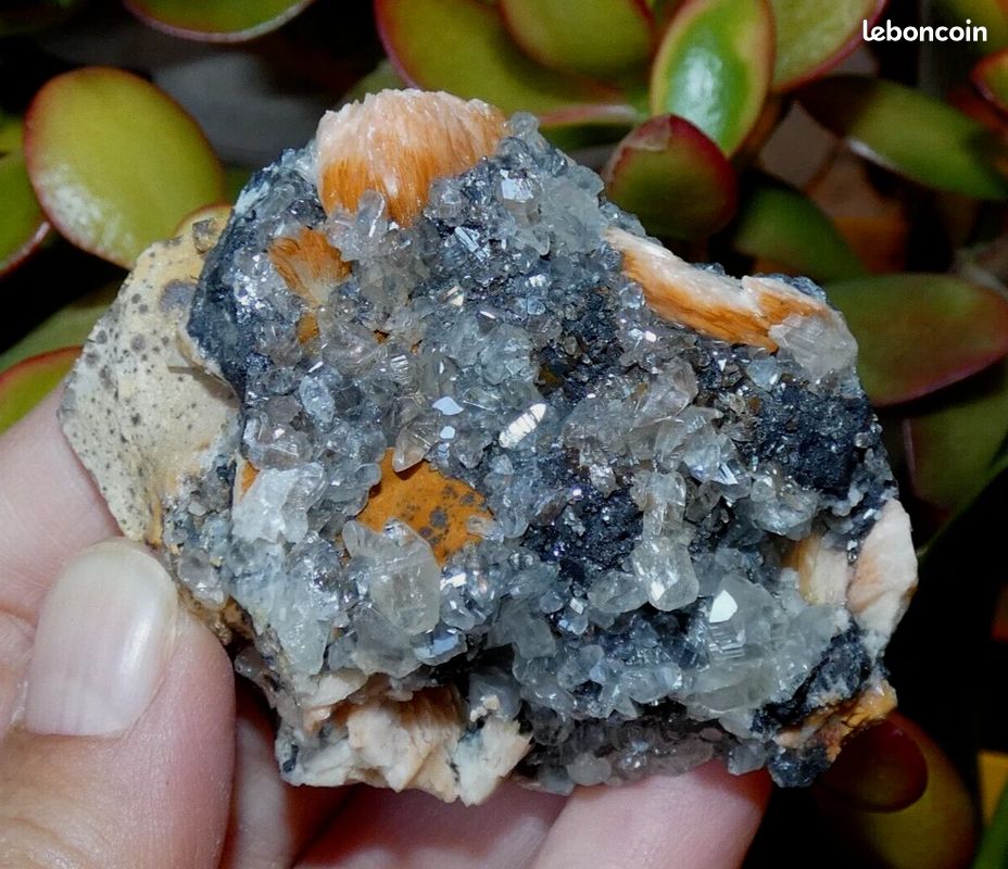 Baryte Cérusite Galène Mibladen 6x4.5cm Maroc minéraux collection pierre rare M98 (image 4)
