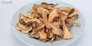 Champignon (image 4)