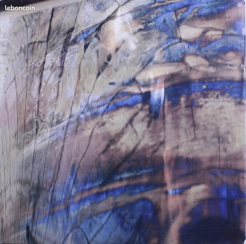 Vinyle CATHARSIS (image 3)