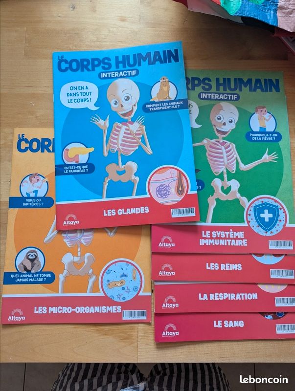 Collection Le Corps Humain Interactif Altaya – 6 fascicules (image 1)