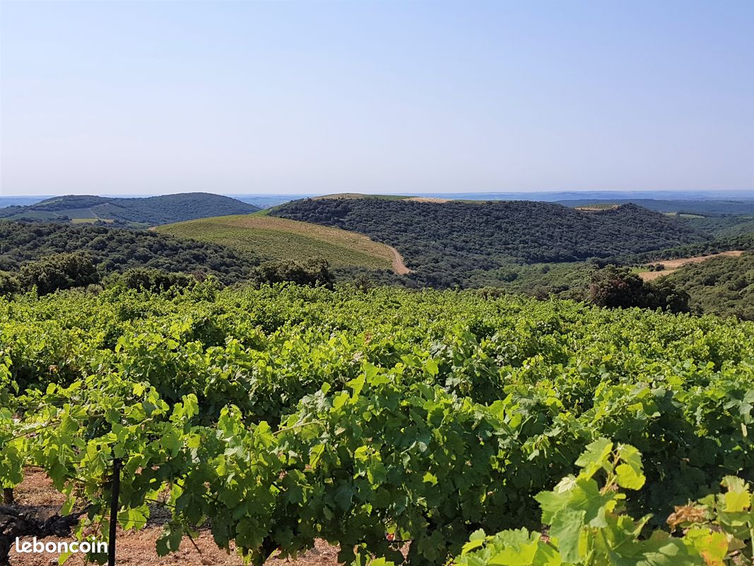 Domaine viticole · à Laurens · 197 000 €