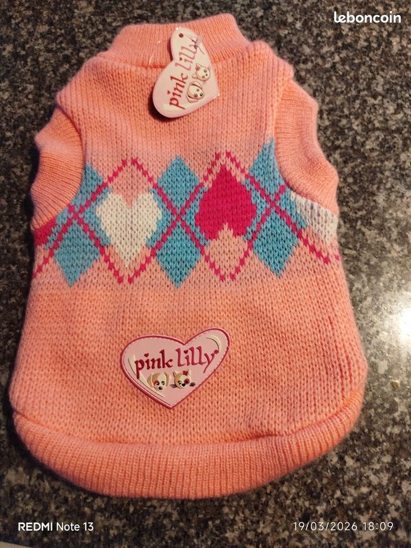 Ensemble Fille Aqua Paillettes Chien Et Pull Tricoté Meilleur Ami, Neuf Taille 4