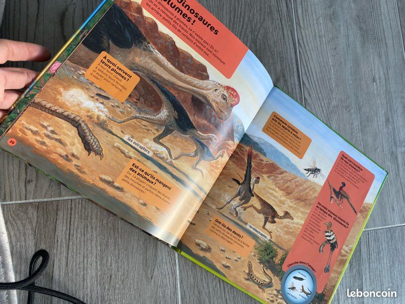 Livre dinosaure (image 6)