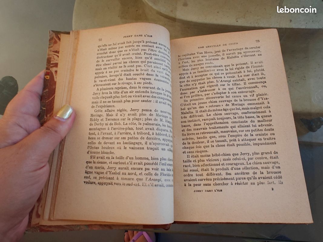 Jerry dans l'île, Jack London, 1929 (image 5)
