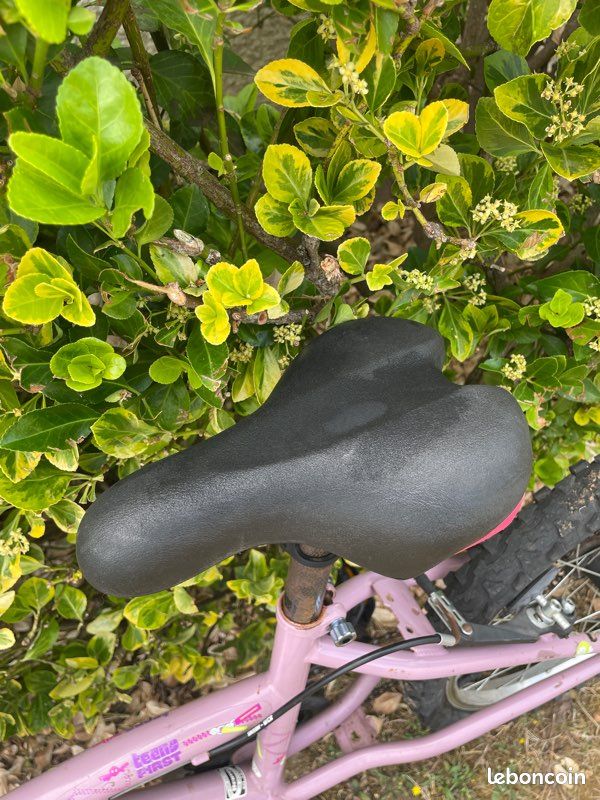 VTT enfant 20 pouces (image 3)