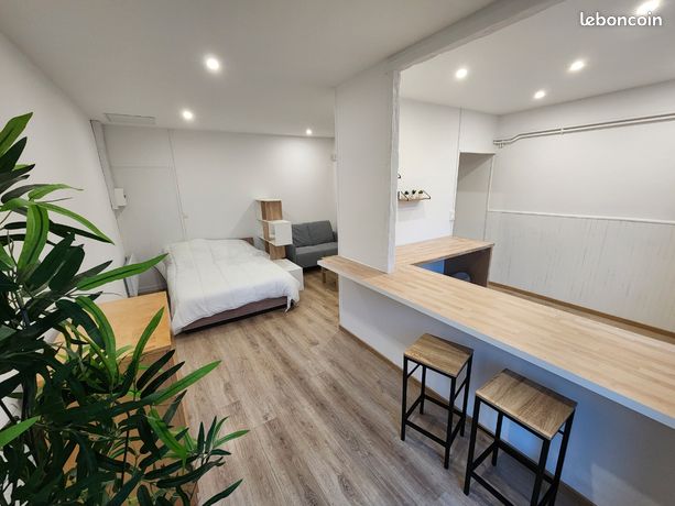 Grand studio meublé refait à neuf avec terrasse privative dans le centre de Mirecourt