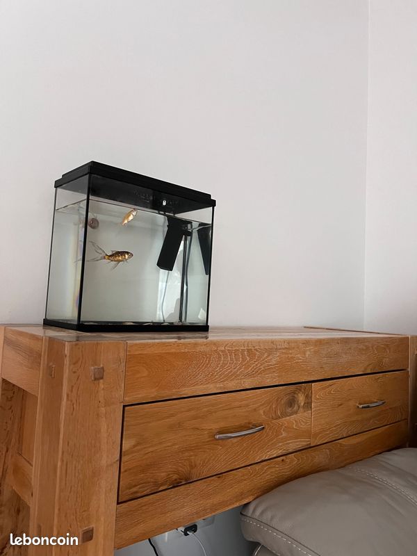 Ensemble salon : Meuble télé + Buffet bahut bas + console à deux tiroirs (image 8)