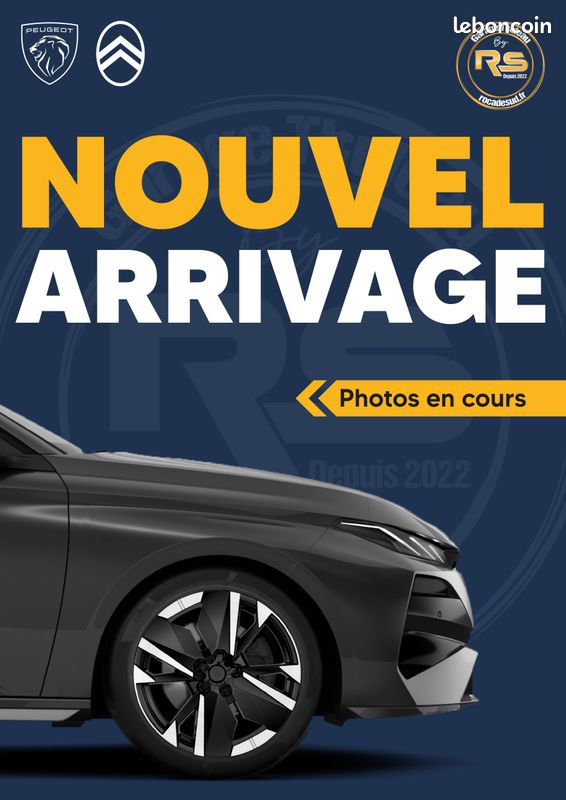 Ds 4 (2) BLUEHDI 130 ETOILE NAPPA AUTO (image 1)