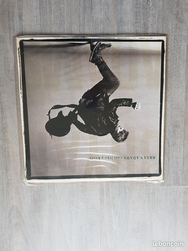 Vinyle 33T : Bryan Adams - Cuts like a knife (image 8)