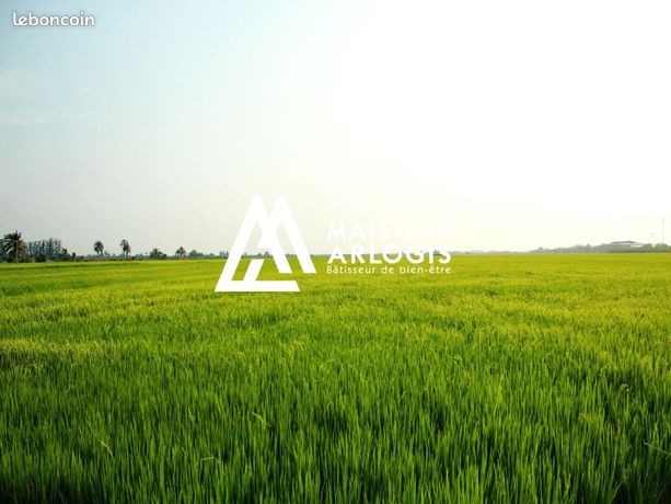 Terrain 1 235 m² Hecq