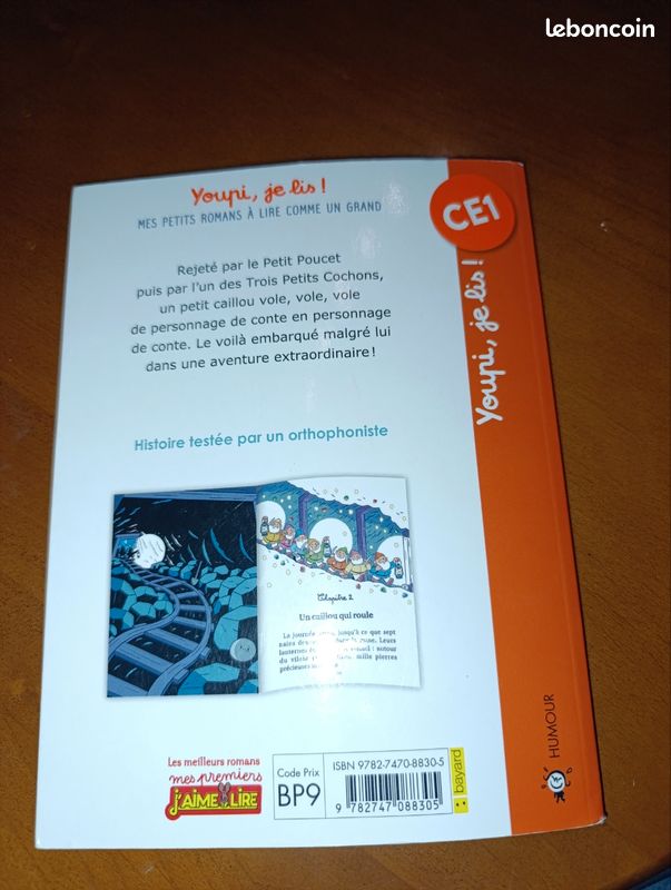 Livre "Le grand voyage du petit cailloux (image 3)