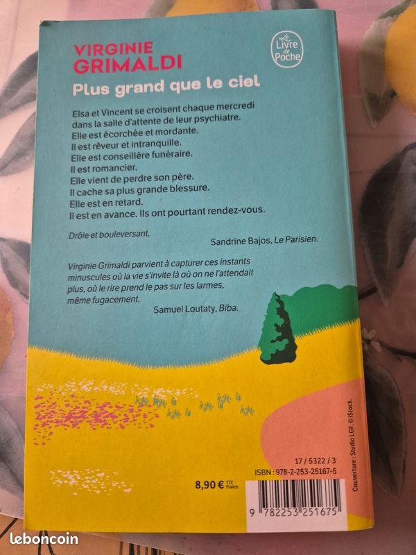 Virginie Grimaldi- Plus grand que le ciel (image 2)