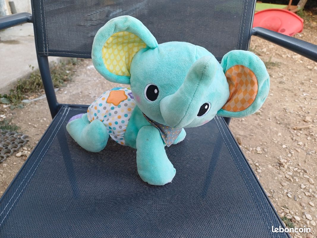 Éléphant éveil (image 1)