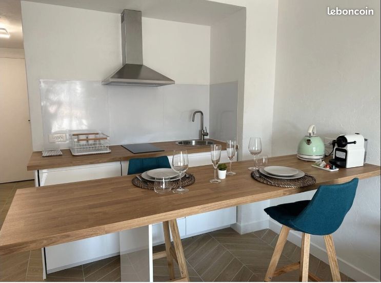 Appartement a louer cagnes-sur-mer - 1 pièce(s) - 27 m2 - Surfyn