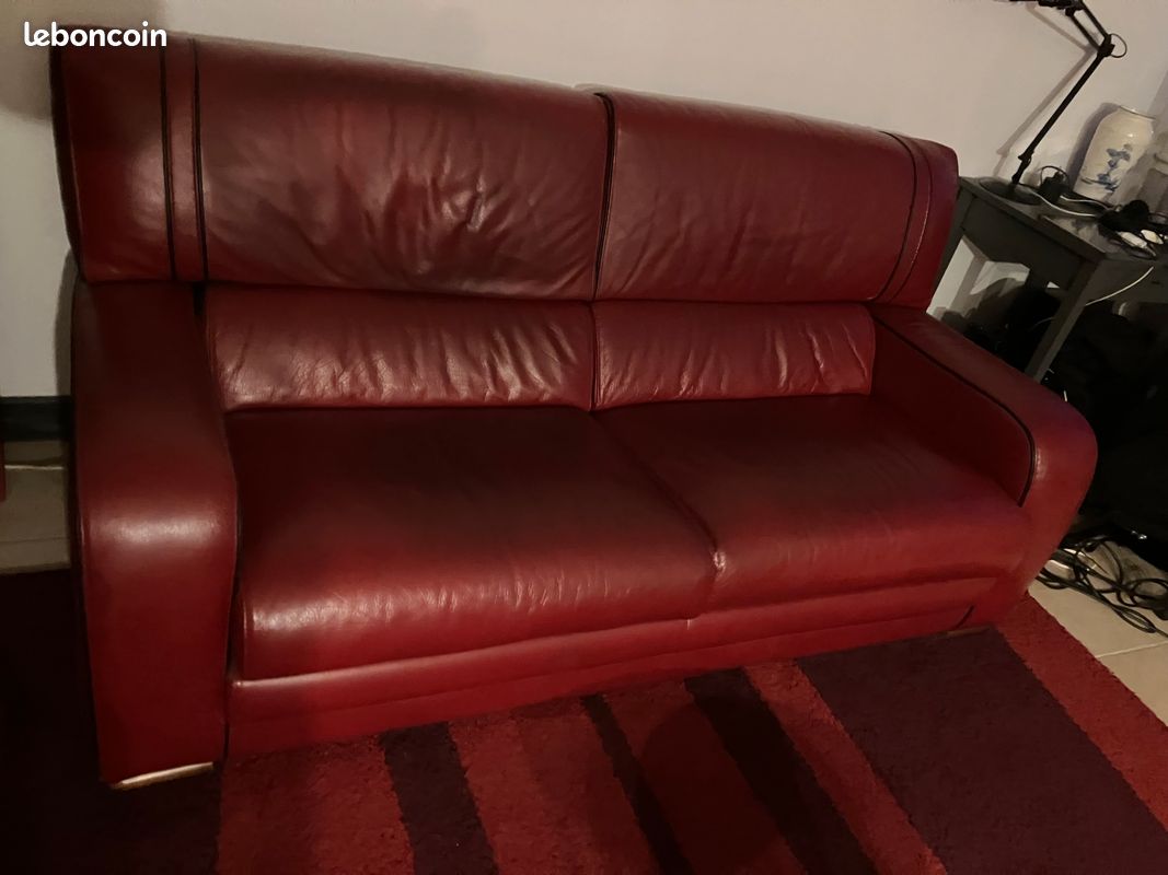 Canapé cuir (image 4)